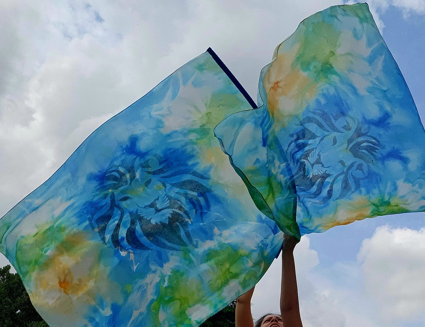 Worship Flags - Lion of Judha